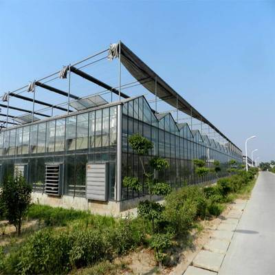 温室大棚 可用于花卉水果蔬菜苗木种植 森美农业工厂专业定制