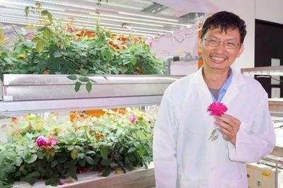 今日要闻|天龙光电或将被暂停上市;台湾植物工厂成功培育可食用玫瑰花